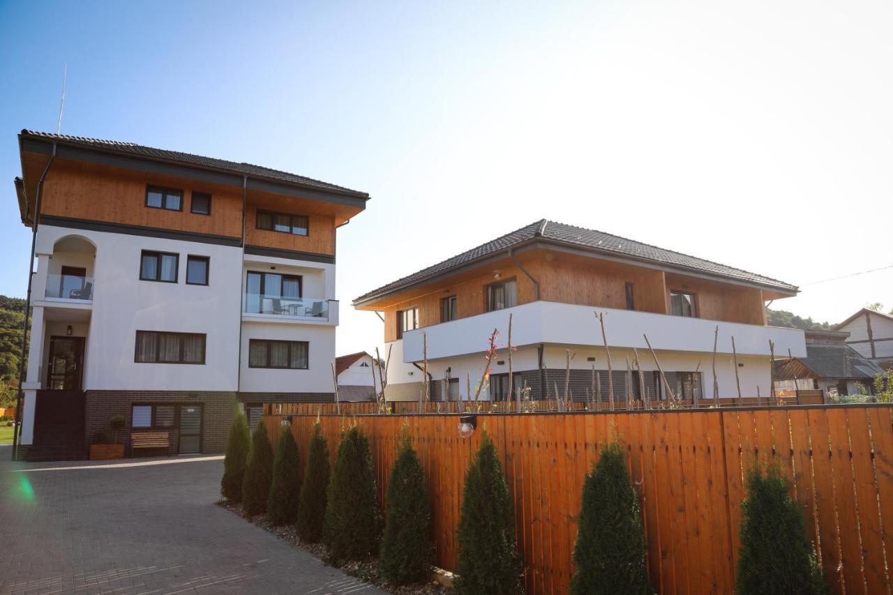Pensiunea Maramures Guesthouse Viseu de Jos Exterior photo